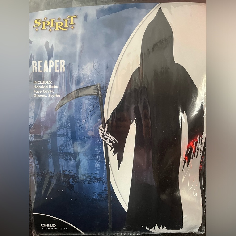 Spirit Halloween Reaper costume child size Large 12-14